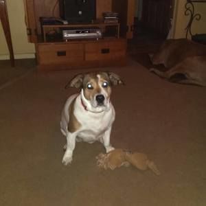 Meet your Posher, Jenny